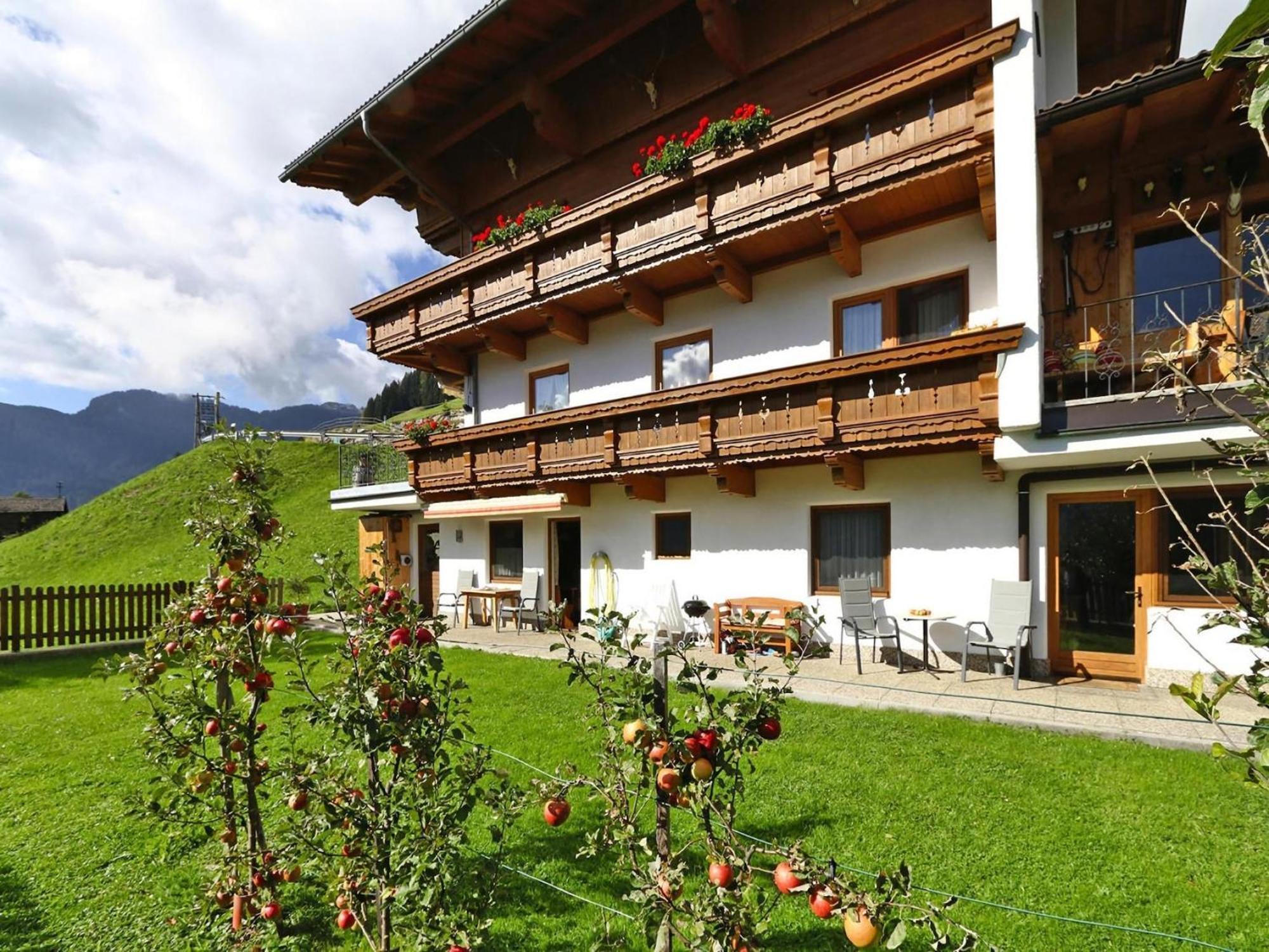 Apartment In Hippach Im Zillertal With A View Muhlen (Tyrol)